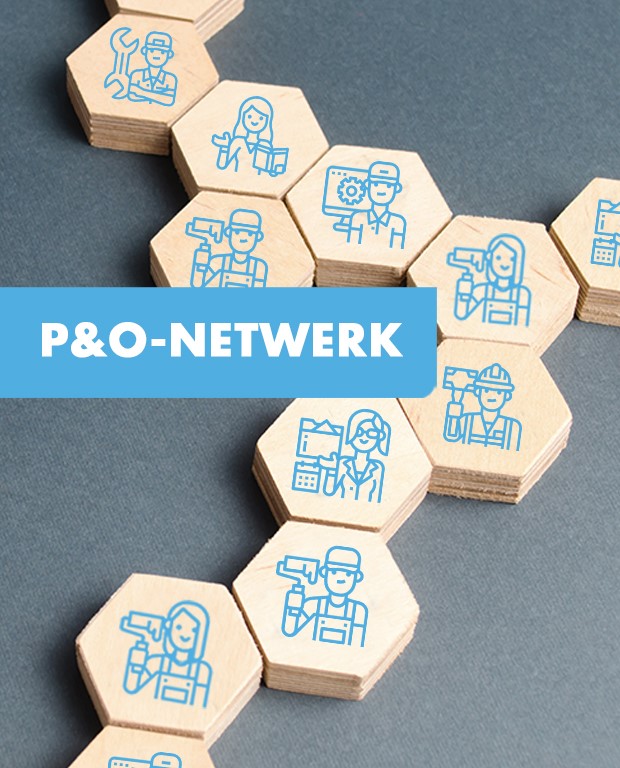 p&amp;o-netwerk - 310x384