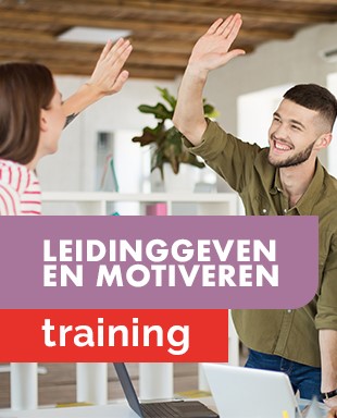 Trainingen - miniaturen - management - leidinggeven en motiveren