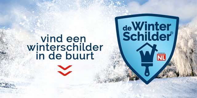 Vind een winterschilder in de buurt