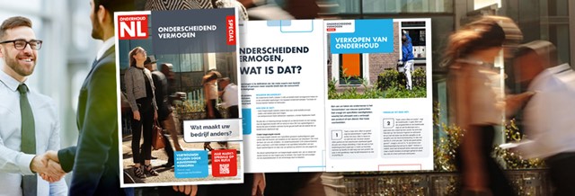 Onderscheidend vermogen van schilders en onderhoud