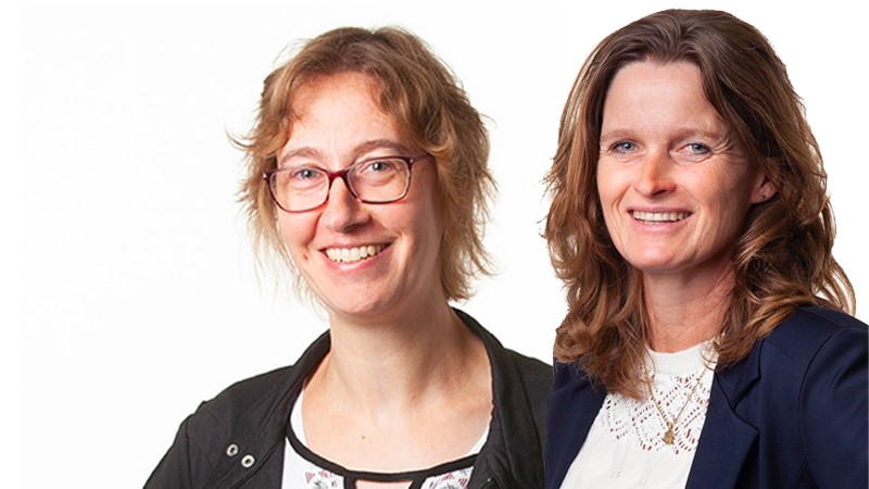 contactpersonen-blok-trainingen_800x450