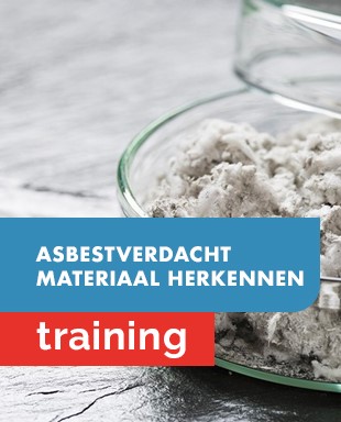 Trainingen - miniaturen - asbestverdacht materiaal herkennen.jpg