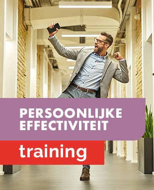 Trainingen - miniaturen - management - persoonlijke effectiviteit.jpg