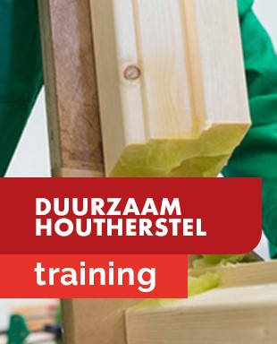 Trainingen - miniaturen - vaktechniek - duurzaam houtherstel.jpg