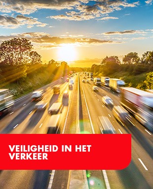 TBM-Veiligheid in het verkeer_310x384.jpg