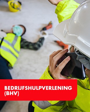 TBM-BHV_310x384.jpg